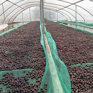 Café rôti en arabe, 0.25 kg, spécial repas, fabrication artisanale de café, qualité supérieure, japonais, bon prix, vente en gros - Product Image 6