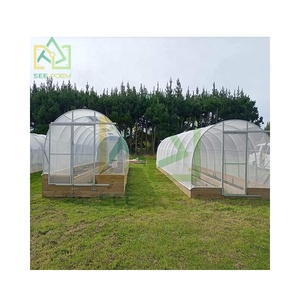 <span class=keywords><strong>Serre</strong></span> couverte de film plastique avec porte coulissante <span class=keywords><strong>Serre</strong></span> de jardin étanche pour légumes et fleurs - Product Image 2