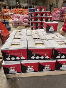 Ninniku กระเทียมขาวบริสุทธิ์ราคาถูกที่สุด/Manul/lehsan พืชผลพืชผล2025สดคุณภาพสูงพร้อมส่งออก (+ 84 36 8683 680) - Product Image 5