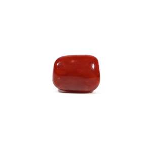 Natural Red Coral Oval Cabochon Loose Gemstone 5.13 Carat Certified Wholesale - Product Image 2