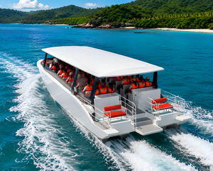 UBI 918 Customized Fiberglass 18-Passenger Luxury Catamaran Water Taxi Ferry Yacht Premium Cruising Sightseeing River Sport - Product Image 3