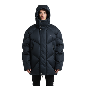 Veste d'hiver pour homme, matelassée, à capuche, coupe-vent, imperméable, chaude, isolée, alternative au duvet, vêtements d'extérieur - Product Image 1
