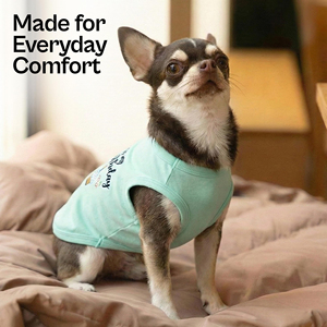 Camiseta para Mascotas Hecha en Fábrica, Venta al por Mayor, Ropa para Perros de Color Sólido, Ropa para Gatos de Algodón Premium, Ropa Ligera y Flexible para Cachorros - Product Image 2