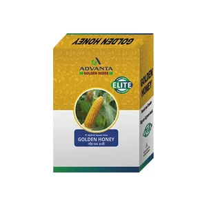 Semillas de Maíz Dulce Golden Honey de Advanta, Maíz Híbrido <span class=keywords><strong>Blanco</strong></span> y Amarillo, Tierno y Sabroso, Enriquecido con Azúcar - Product Image 1