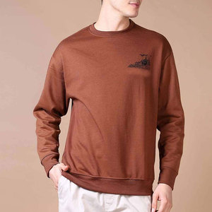 Sweat-shirt à col rond 100 % coton molletonné, épaules tombantes, streetwear décontracté d'hiver, pull doux avec intérieur brossé, OEM, marque privée - Product Image 1