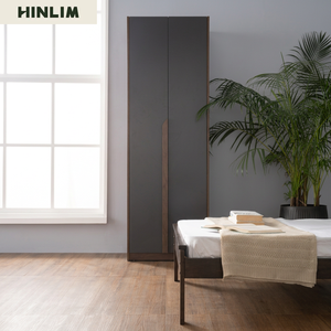 Armario Moderno Minimalista de 2 Puertas con Puertas de Lámina, Mueble de Dormitorio Delgado Independiente con Tiradores de Madera, Diseño que Ahorra Espacio, Knock 1 - Product Image 5