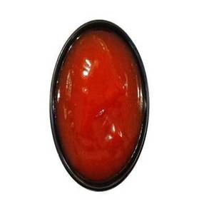 Puré de Tomate Fresco de Temporada de la India, Marca FitTree International, 28-30 Brix, 24 Meses de Vida Útil, Ingrediente al por Mayor - Product Image 2