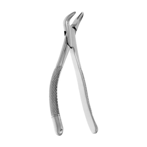Forceps d'extraction dentaire en acier inoxydable avec poignée moletée, pinces manuelles d'orthodontie pour l'élimination des dents, instrument de classe I - Product Image 4