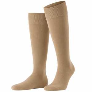 Chaussettes de qualité professionnelle, design tricoté respirant, confortables pour un usage quotidien, accessoire vestimentaire, chaussures durables, essentielles - Product Image 1