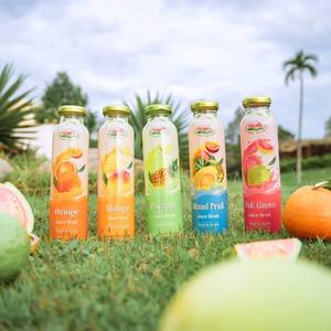 Bebida de Jugo de Frutas Tropicales Mixtas, 300 ml, en Botella de Vidrio, Jugo NFC, Fabricante de Bebidas Nawon de Vietnam, Exportación, Mejor Precio - Product Image 3