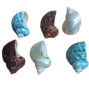 Anneau de serviette traditionnel vietnamien, porte-serviettes, porte-anneau par snail & seashell pour un service de table authentique sur le thème tropical - Product Image 1