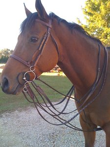Bocado de Acero Inoxidable para Caballo con Boquilla de Goma Negra, Diseño de Doble Anillo, Equipo de Equitación, Mejor Calidad 2026 - Product Image 6