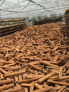 High Quality Vietnam <b>Cinnamon</b> Cassia Rich Flavor For Export Market Use - Product Image 2