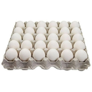 Fournisseur en gros d'œufs de poulet blancs frais naturels, œufs de qualité supérieure, emballage en vrac pour les acheteurs internationaux - Product Image 4