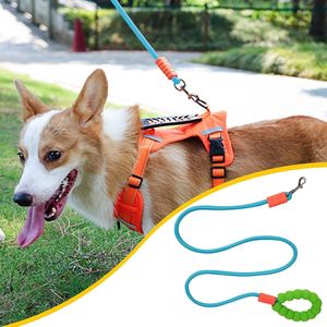 Guinzaglio Morbido Mimetico per Cani di Taglia Media e Grande, Collare e Pettorina Resistenti per Escursionismo e Campeggio, Migliora la Comodità di Passeggio - Product Image 1