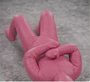 PROFIT SPORTS Mannequin de boxe rose en PU, rempli de sable, durable, 25 kg, équipement d'entraînement pour adultes, MMA, grappling, entraînement au sol, lutte - Product Image 2