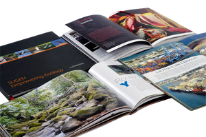 Impresión de Folletos Corporativos y Manuales de Instrucciones Personalizados con Encuadernación Perfecta en Papel Offset sobre Cartón - Product Image 5