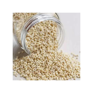 Sorghum rouge glutineux de première qualité pour la consommation humaine et animale - Product Image 4