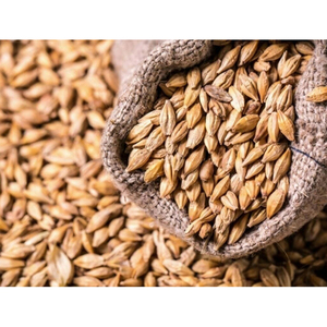 Blé de qualité supérieure en vrac / Blé de haute qualité, entier - Product Image 1