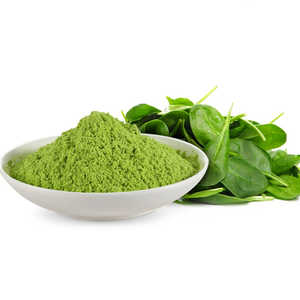 POLVO DE HOUTTUYNIA CORDATA CERTIFICADO GMP |   EXTRACTO DE MENTA DE PESCADO PREMIUM PARA LA INDUSTRIA DE SUPLEMENTOS PARA LA SALUD - Product Image 6