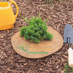 Eco2go Vietnam-Coir Mulch Ring Eco-Friendly Coconut Fiber Tree Protection & Moisture Retention for Home Garden Use - Product Image 6