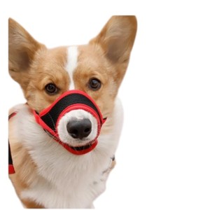 Red Nylon Pet Trainer <b>Collar</b> <b>Small</b> Size Breathable Mesh With Bell Hook & Loop Closure Simple Style All Seasons <b>Dogs</b> - Product Image 5