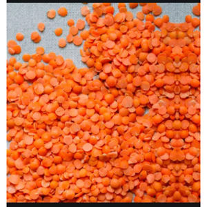 Nouvelles récoltes de lentilles rouges biologiques de haute qualité en vrac – Style OEM, qualité supérieure, séchées en vrac - Product Image 2