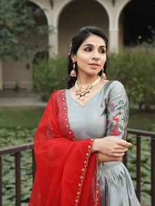 Magnifique Lehenga Choli en soie grise avec bordure tissée Kalamkari et travail Zari – Tenue ethnique indienne traditionnelle pour l'exportation - Product Image 5