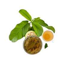 ใบฝรั่งแท้สำหรับชาสมุนไพร – อบแห้งตามธรรมชาติ - Product Image 2