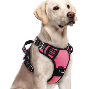Arnés Resistente con Correa de Pecho Ajustable, Interior Suave y Ajuste Cómodo para Uso en Exteriores, Tallas Grande, Mediana y Pequeña - Product Image 1