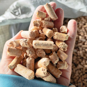 PELLETS DE MADERA DE PINO, MATERIALES ECOLÓGICOS PARA CAMAS DE MASCOTAS, PROVEEDOR DE VIETNAM, LIMPIOS Y DE ALTA ABSORBENCIA - Product Image 1