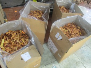 Bananes séchées biologiques douces de haute qualité, collation de fruits tropicaux, fournisseur en gros, prix compétitif, OEM ODM Export - Product Image 6