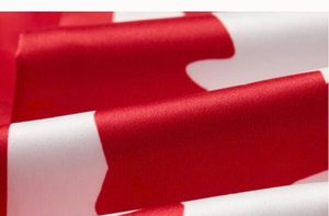Pañuelo de Seda Rojo y Blanco con Lazo y Logotipo BNI, Corbata para Dama - Product Image 3
