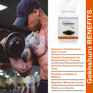 Gokhshuru petits caltrops augmentent la testostérone et la numération des spermatozoïdes capsule de gymnastique de supplément puissant - Product Image 6