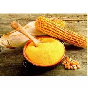 Farine de gluten de maïs de qualité supérieure pour l'alimentation animale, bétail, porcs, poulets de chair, 60% 50% qualité supérieure - Product Image 1
