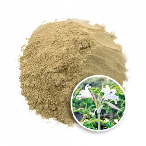 Polvo de Hoja de Crinum Premium a Precio de Fábrica, Ingrediente Botánico Orgánico de Grado Alimenticio, Suministro a Granel OEM ODM - Product Image 1
