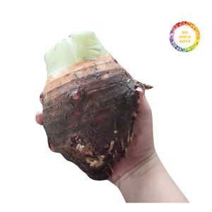 Morceaux de Taro Congelés pour Soupe Sucrée, Dessert, Boissons, Ingrédient pour Magasin de Produits Alimentaires, Morceaux de Taro Congelés - Product Image 3