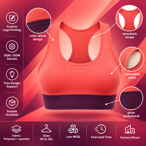 Conjunto de Sujetador Deportivo Sin Costuras y Pantalones Cortos de Ciclismo para Mujer, para Yoga, Gimnasio y Entrenamiento, Ropa Deportiva con Logotipo Personalizado, Pedidos al por Mayor, Suministro a Granel - Product Image 6