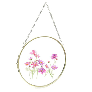 Cadre photo rond mural en verre transparent avec bordure en laiton finition dorée pour fleurs pressées – Prix les plus bas - Product Image 4