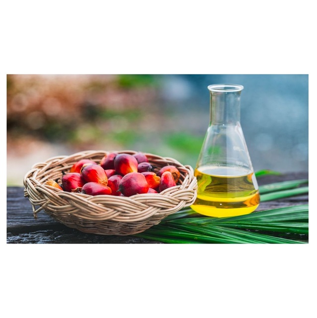 Good Quality Cheap Price RBD Palm Olein - Crude Palm Oil 100% Refined Oil For Export