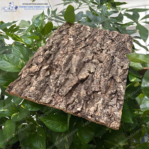 Article populaire : Décoration de terrarium rectangulaire en écorce de liège naturelle, écologique, fabriquée au Vietnam - Product Image 6