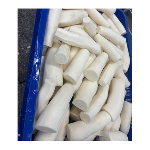 Proveedor de Piezas de Yuca Congeladas |   Yuca Congelada a Granel para Importadores de Alimentos - Product Image 3