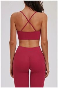 Sujetador Deportivo de Alta Intensidad para Mujer, Ligero, de Secado Rápido, a Prueba de Impactos, con Cuello en V, para Fitness y Running, Venta al Por Mayor Personalizada - Product Image 5