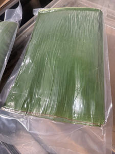 Feuilles de banane congelées de qualité supérieure, vertes et tropicales, pour l'emballage alimentaire traditionnel – Vente en gros mondiale de feuilles de banane congelées - Product Image 3