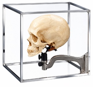 Pinza de sujeción cúbica para craniums, de latón, instrumento antropológico para craniometría, para investigación de anatomía y osteología en laboratorio, ESTÁNDAR - Product Image 1