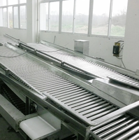 Nieuwe hoog-efficiënte fruit- en groentesorteermachine, was- en sorteermachine voor fabrieken