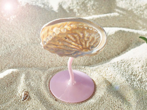 Copas de Martini Personalizadas Hechas a Mano con Conchas Marinas, Ligeras, Reutilizables, Regalos Personalizados para Damas de Honor, Despedida de Soltera - Product Image 6
