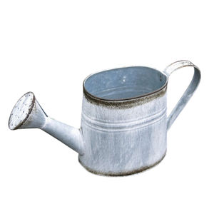 Regadera de Metal Galvanizado de la Mejor Calidad con Cabezal de Aspersión, Decoración Rústica con Doble Asa al Precio Más Bajo - Product Image 6