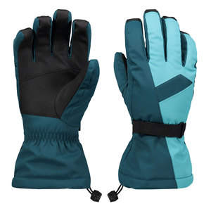 Guantes de Esquí Profesionales para Nieve, con Aislamiento Térmico, Resistentes al Viento, Cómodos, para Deportes de Invierno al Aire Libre - Product Image 1