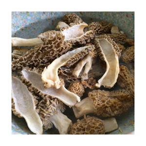 Gourmet East Naturhus Champignons de Morilles Sauvages Séchés Saveur Riche Ingrédient Alimentaire Naturel - Product Image 5